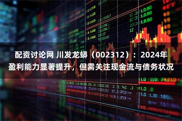 配资讨论网 川发龙蟒（002312）：2024年盈利能力显著提升，但需关注现金流与债务状况