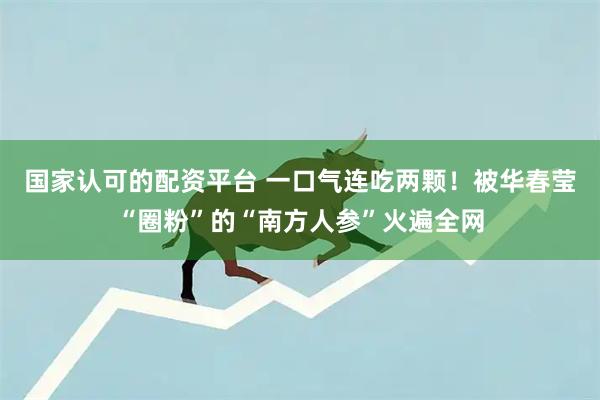 国家认可的配资平台 一口气连吃两颗！被华春莹“圈粉”的“南方人参”火遍全网